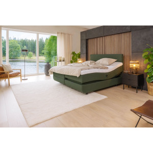 Tempur North moottorisänky 20
