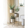 House Nordic Carmel